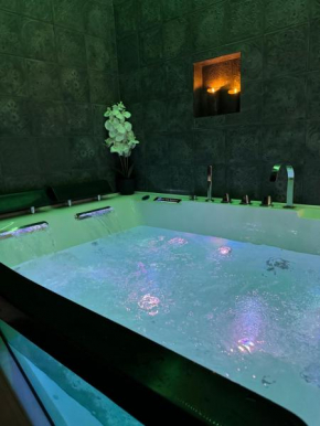 G7 Loft SPA & Terrasse centre Angouleme